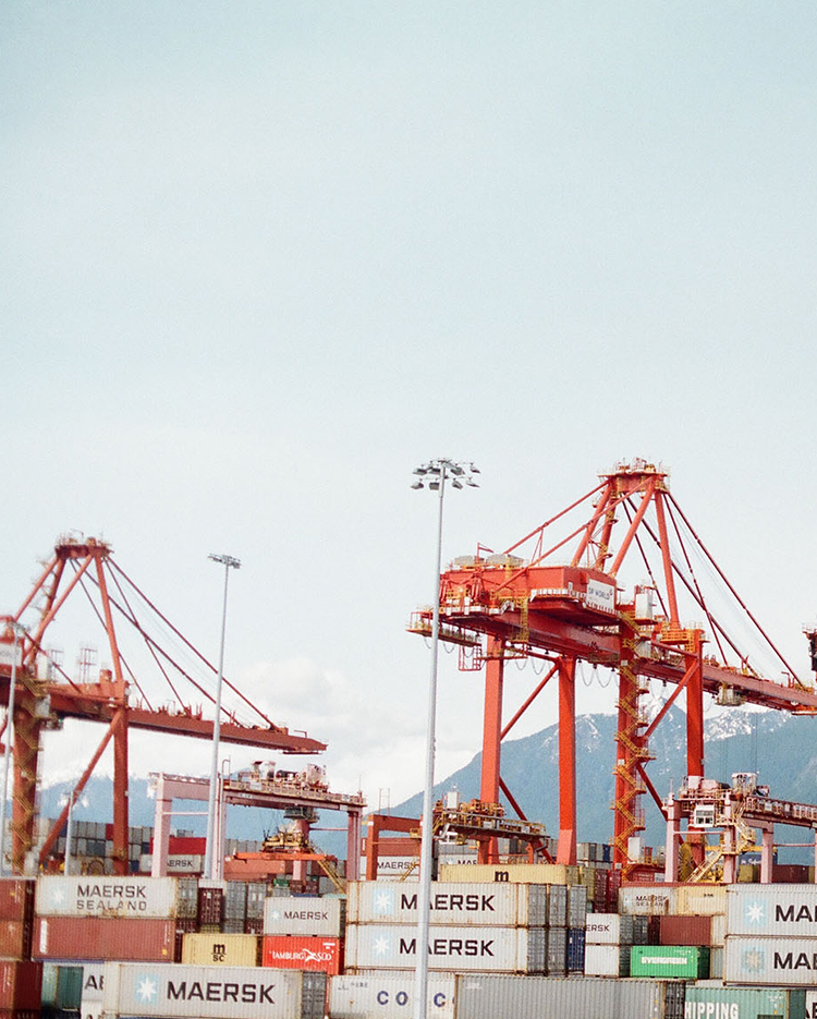 1xBet App for Android