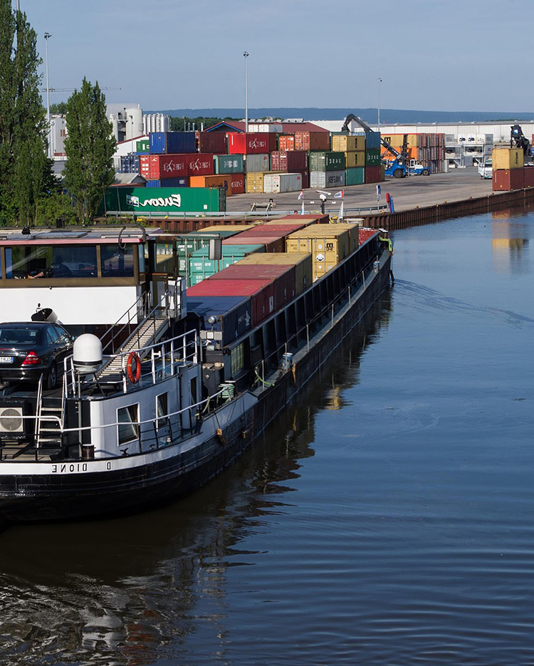 1xBet App Download Link